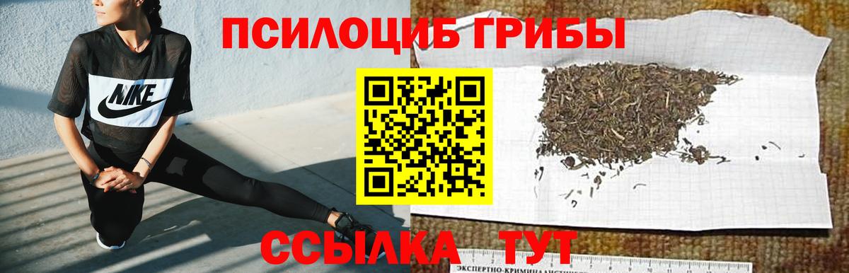 Галлюциногенные грибы MAGIC MUSHROOMS  Псилоцибиновые грибы прущие грибы  Вход с VPN  Спасск-Дальний 
